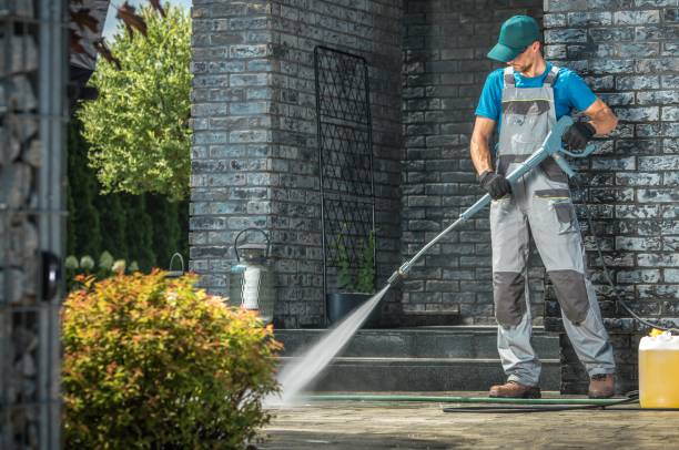 Best Driveway Pressure Washing  in Hector, MN