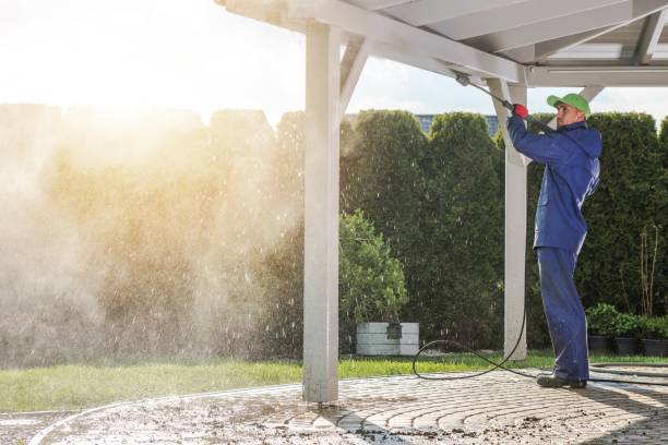 Best Fence Cleaning  in Hector, MN