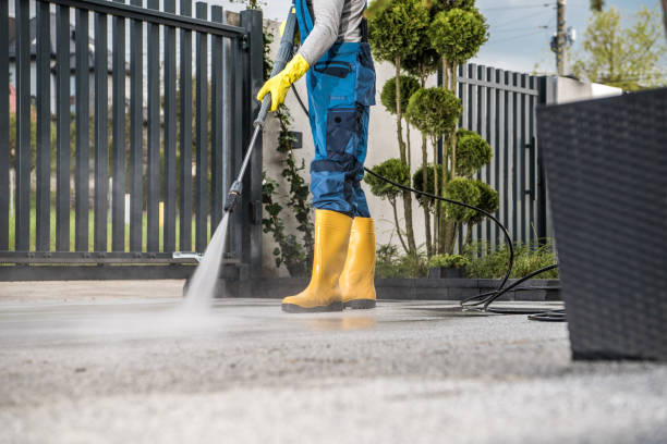 Best Oil Spill Cleanup  in Hector, MN